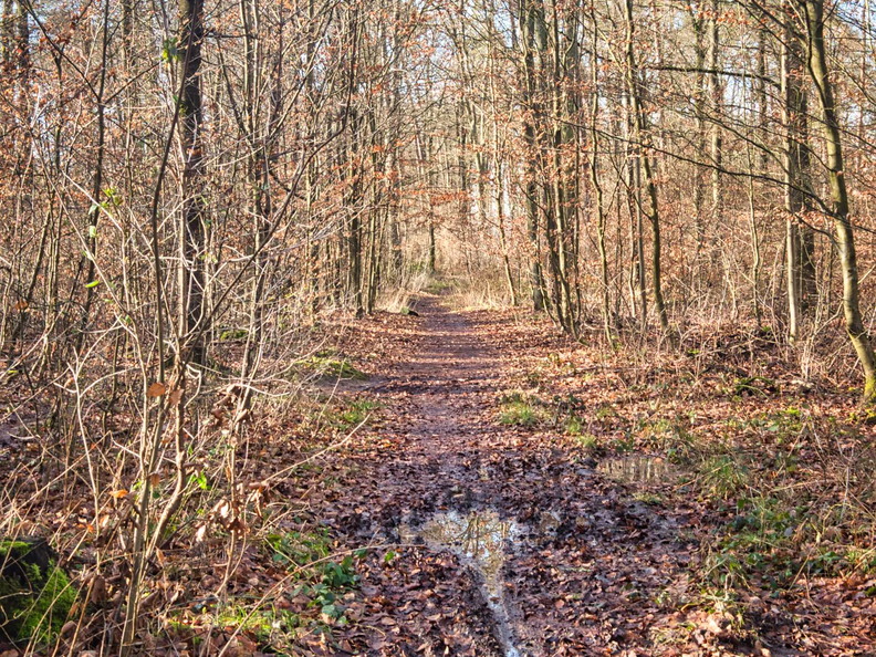 20220207142240-1ac71284